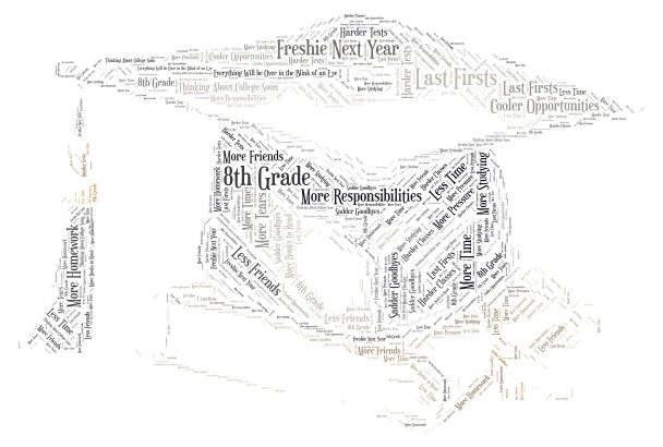 Last Year of Middle School word cloud art