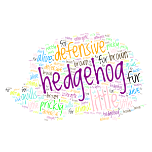 Cute Little Hedgehog word cloud art
