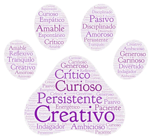 Palabras en español word cloud art