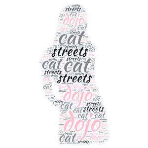 streets by dojo cat word cloud art