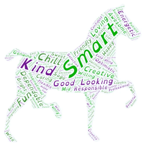 Emilee Hodges word cloud art