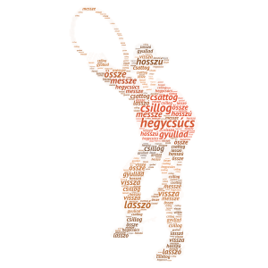 Lasszó word cloud art