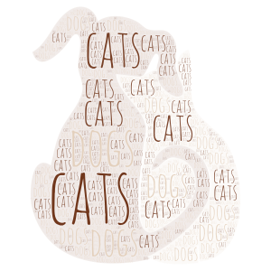 cats &dogs word cloud art