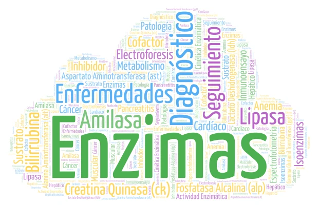 Enzimología Clínica word cloud art