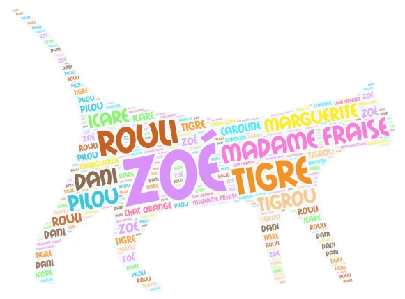 Zoé word cloud art