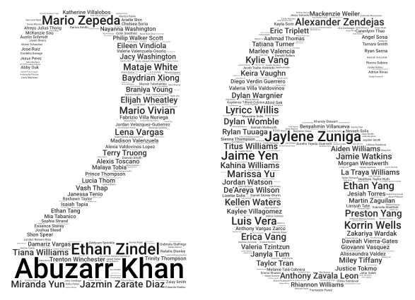 lncoln  word cloud art