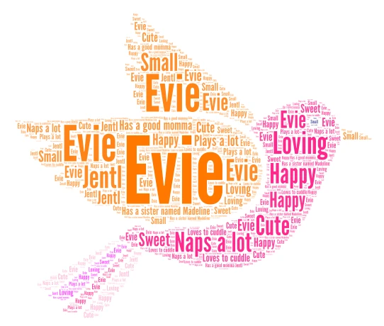 Evie  word cloud art