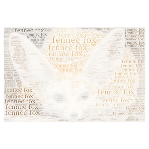 fennec fox word cloud art