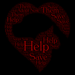 Help a shelater animal today.  word cloud art