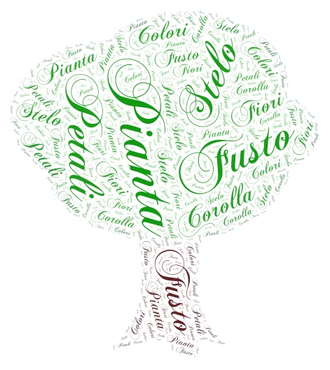 pianta word cloud art