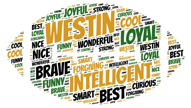 Westin Words word cloud art