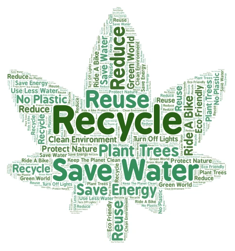 frunza 3 word cloud art