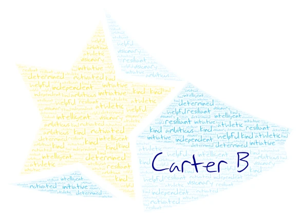  Carter B word cloud art
