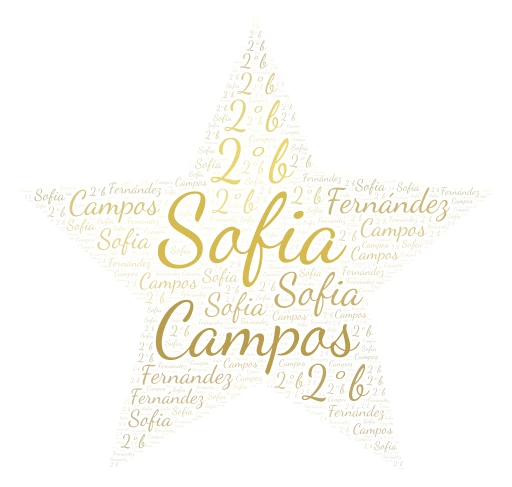 Sofia Campos Fernández 2°B word cloud art