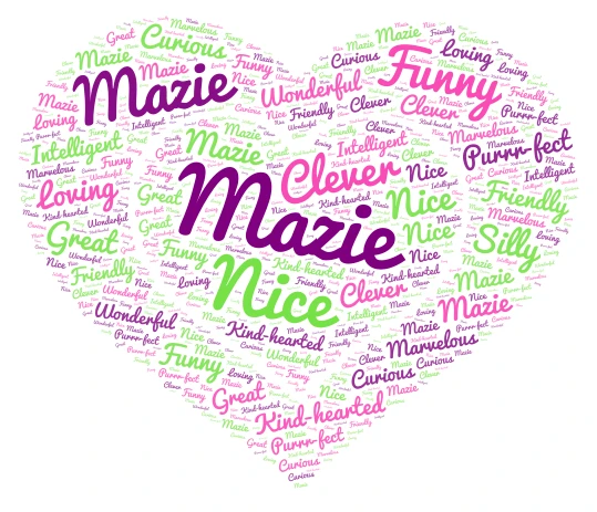 Mazie word cloud art