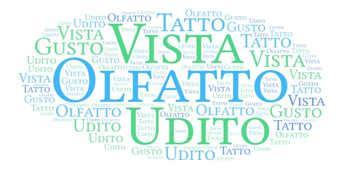 cinque sensi word cloud art