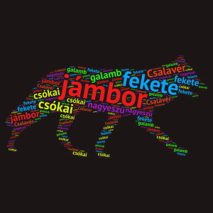 A csókai csóka word cloud art