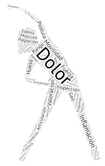 Musculoskeletal Examination word cloud art