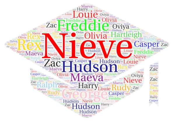 Class Of 2026 word cloud art