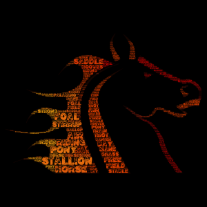 For All You Horse Lovers word cloud art