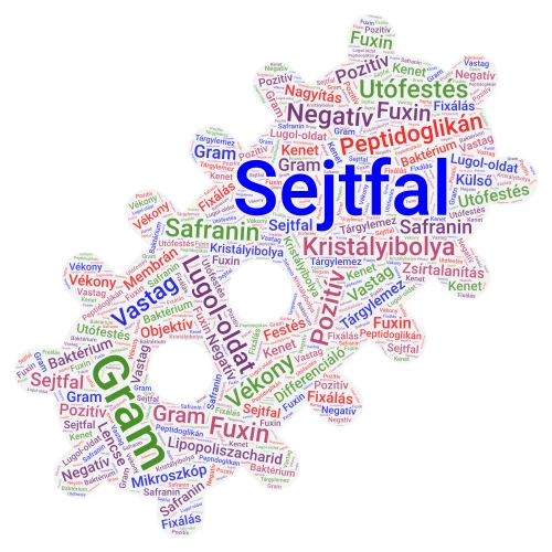 Gram-festés word cloud art