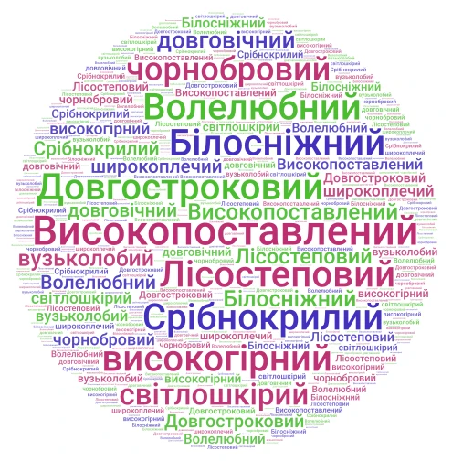 хмаринка слів word cloud art