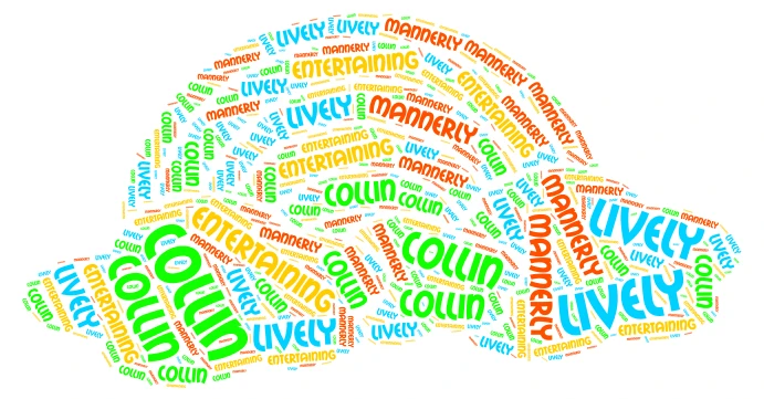 Collin word cloud art