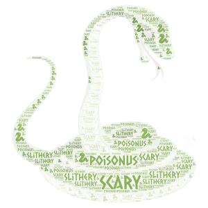 Slithery Snake word cloud art