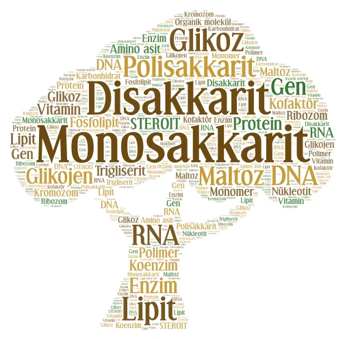 Biyoloji word cloud art