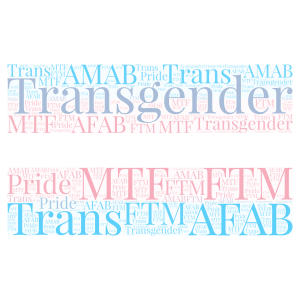 Transgender Pride Flag Art word cloud art
