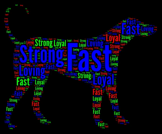 Yorkie word cloud art