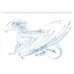 Ice Dragon From Wings of fire!!! word cloud art