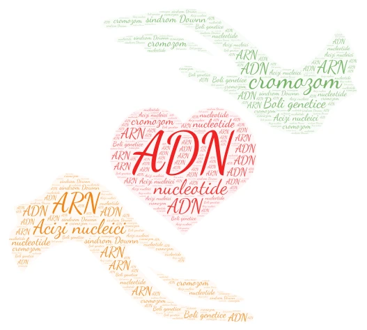 Acizi nucleici word cloud art