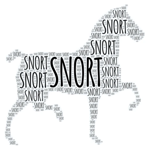 The Horse word cloud art