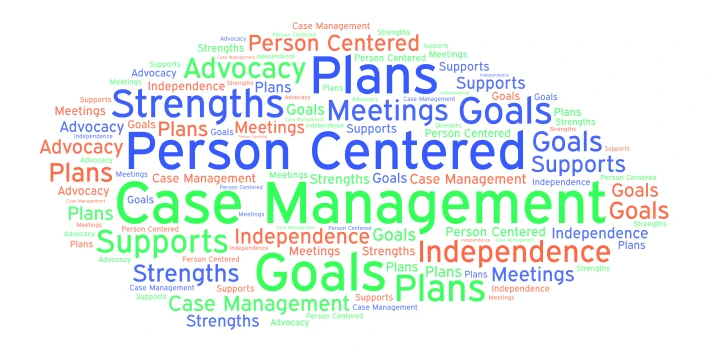 Case Management word cloud art