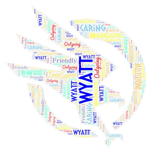 Wyatt word cloud art