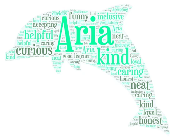 Aria word cloud art