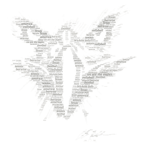 my eagle is the best  word cloud art