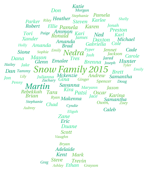 Snow Reunion word cloud art