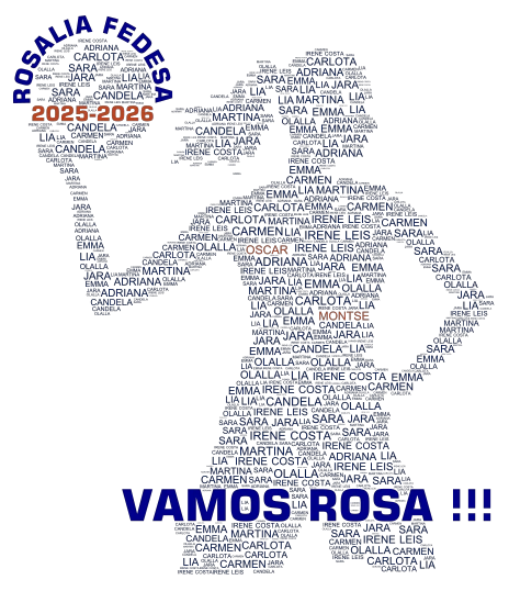 Rosalia Fedesa Basketball Silhouette 2 word cloud art