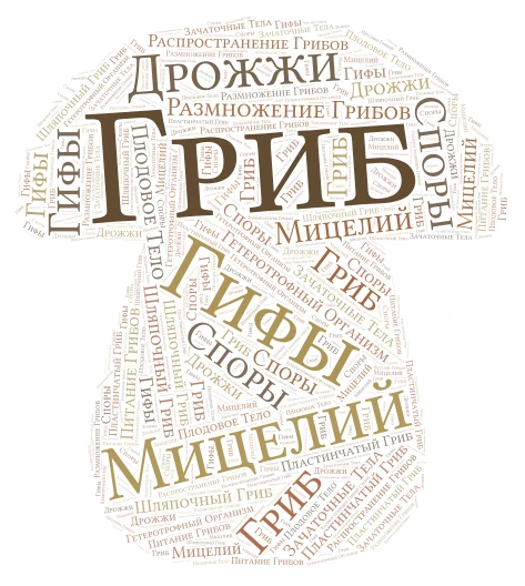 Грибы word cloud art