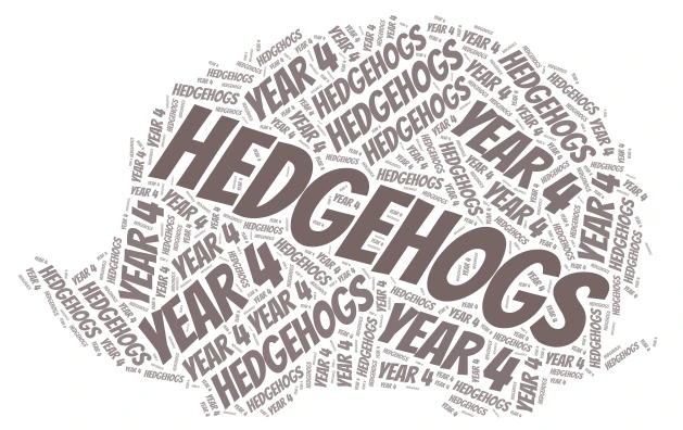 Hedgehogs word cloud art