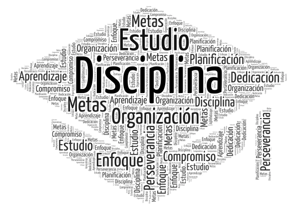 Vida Académica Exitosa word cloud art