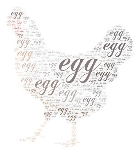 chicken word cloud art