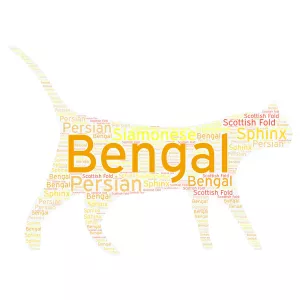 Types of Cats word cloud art