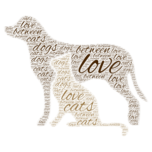 love between dogs and cats word cloud art