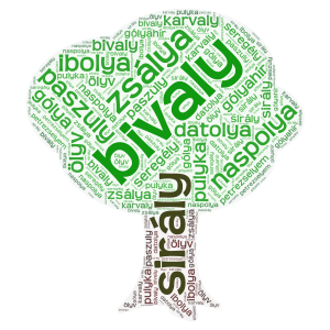 állatok/növények,ly word cloud art