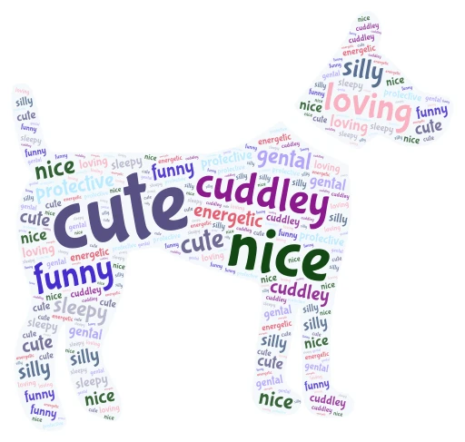 dogs word cloud art