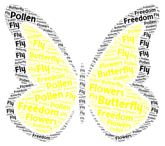Butterfly🦋 word cloud art