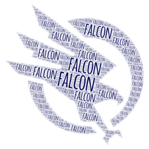 falcon word cloud art